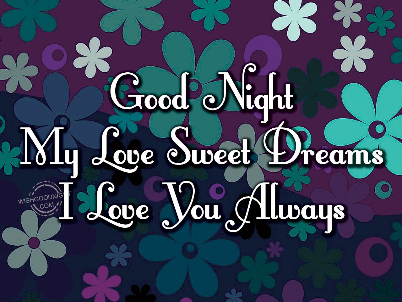 Good Night My Love1 