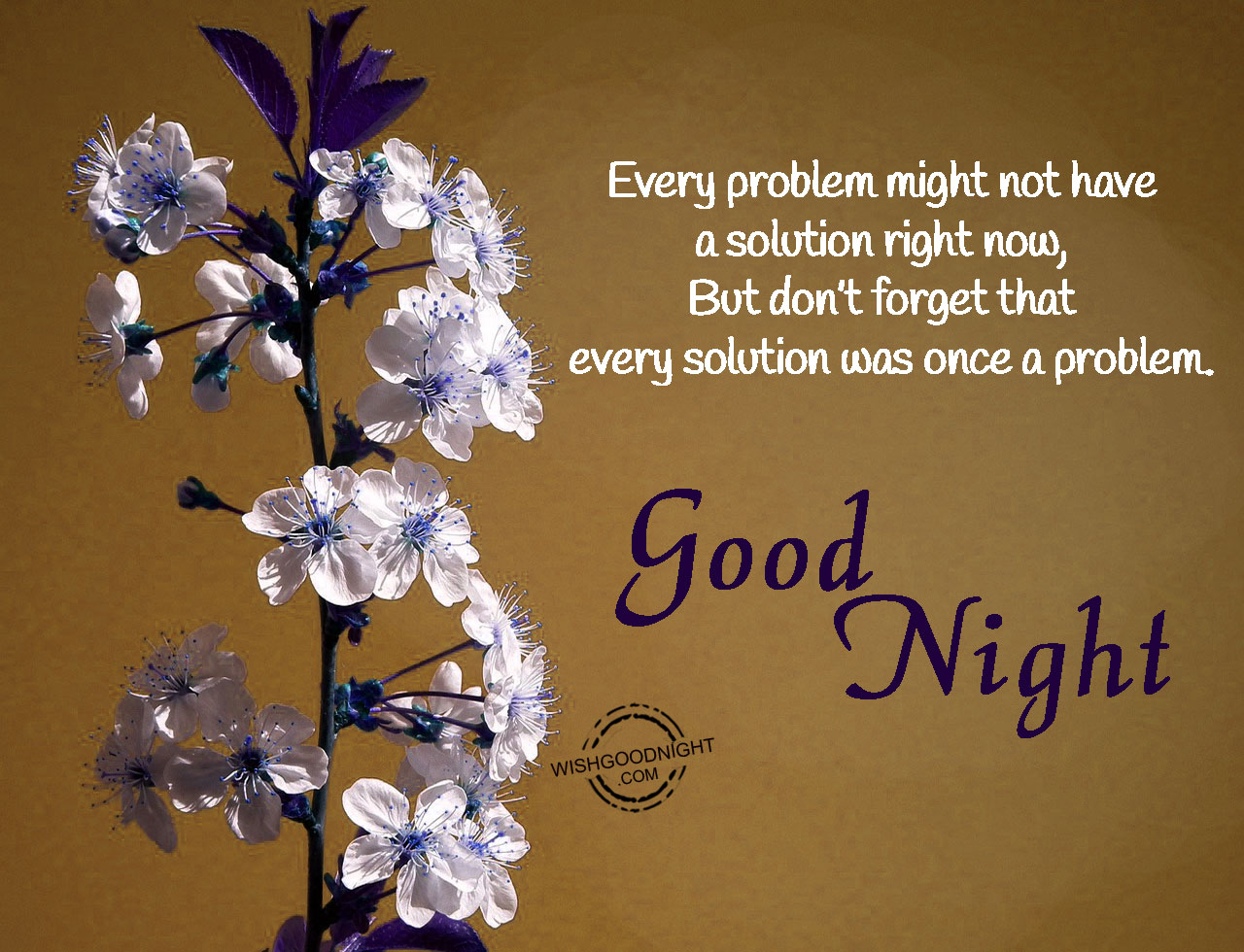 Don’t forget that every solution was once a problem - Good Night ...