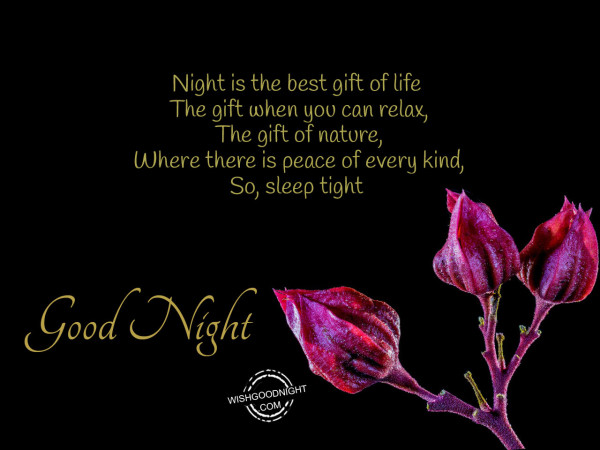 Night is the best gift of life - Good Night Pictures – WishGoodNight.com