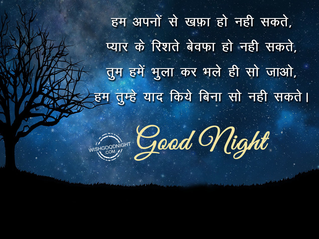 Good Night Wishes In Hindi - Good Night Pictures – WishGoodNight.com